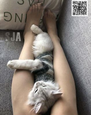 国产剧情蜜桃tv天堂_4K在线观看