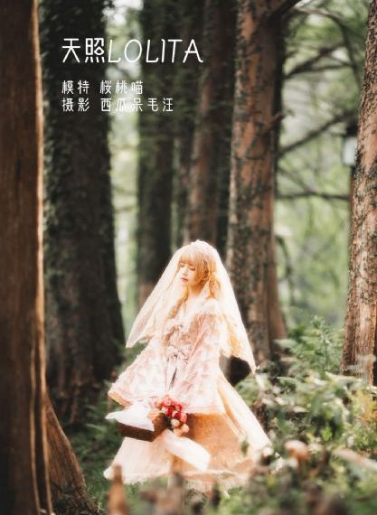 欧美风景风格图片_1080P在线播放